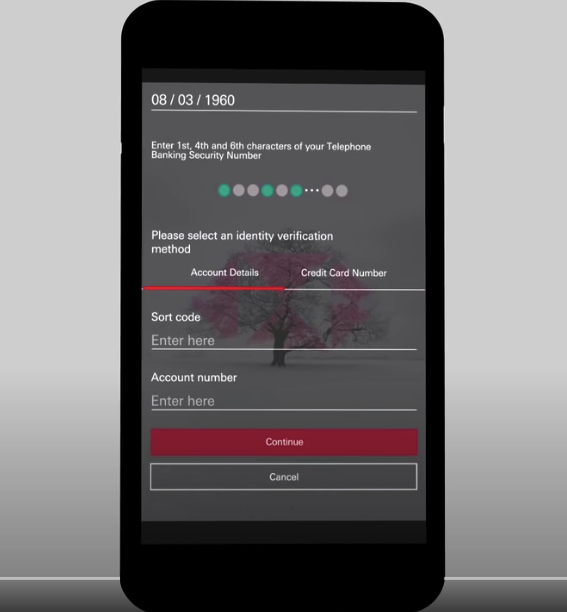 Παράδειγμα εισαγωγής κωδικού πρόσβασης HSBC