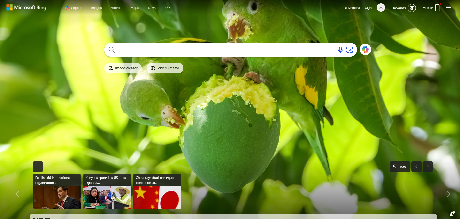 Επαφές Bing Help Desk