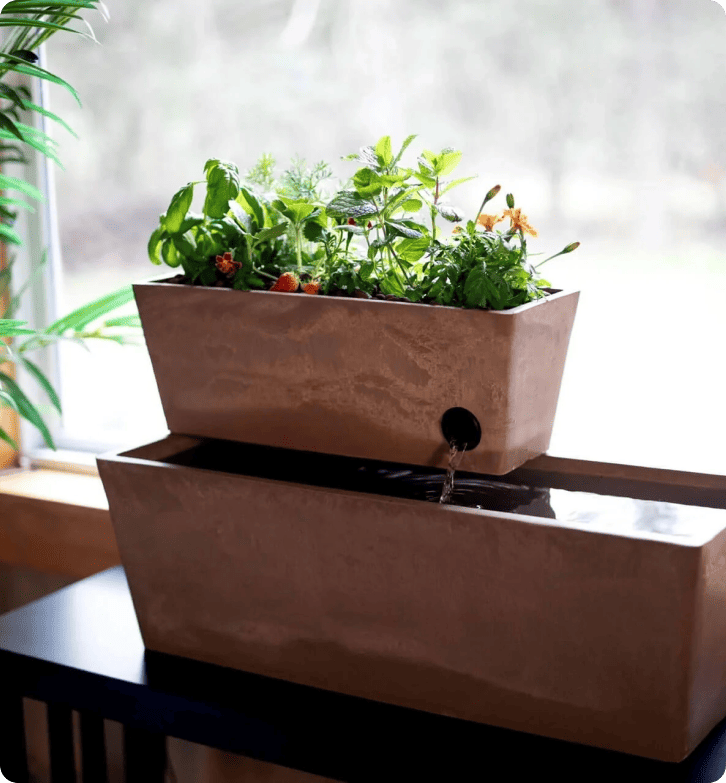 Πώς το AquaSprouts επιτυγχάνει ποσοστό ικανοποίησης πελατών 96,5% με το LiveAgent